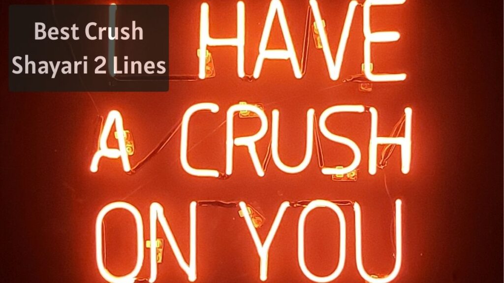 Best-Crush-Shayari-2-Lines