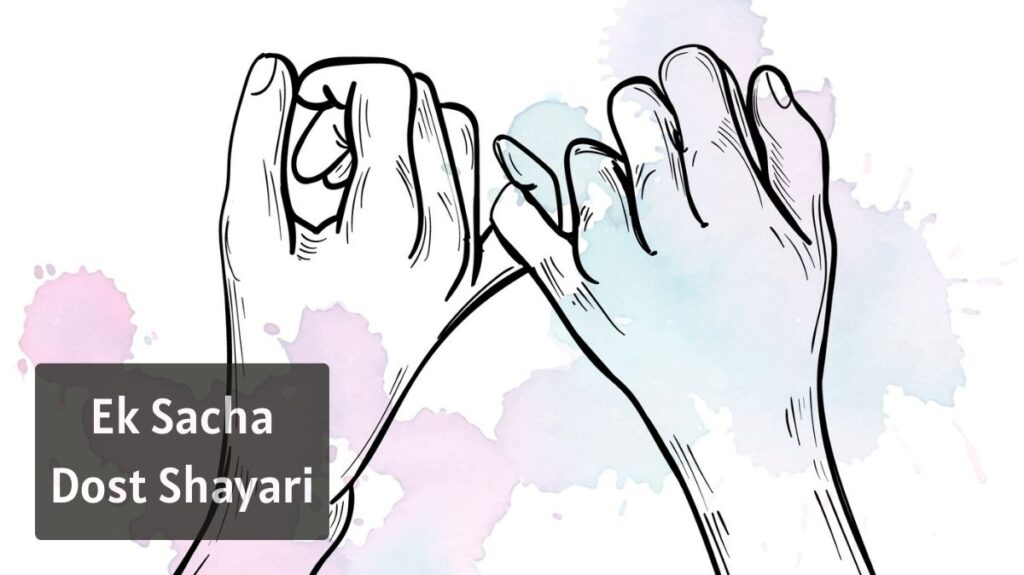 Ek Sacha Dost Shayari